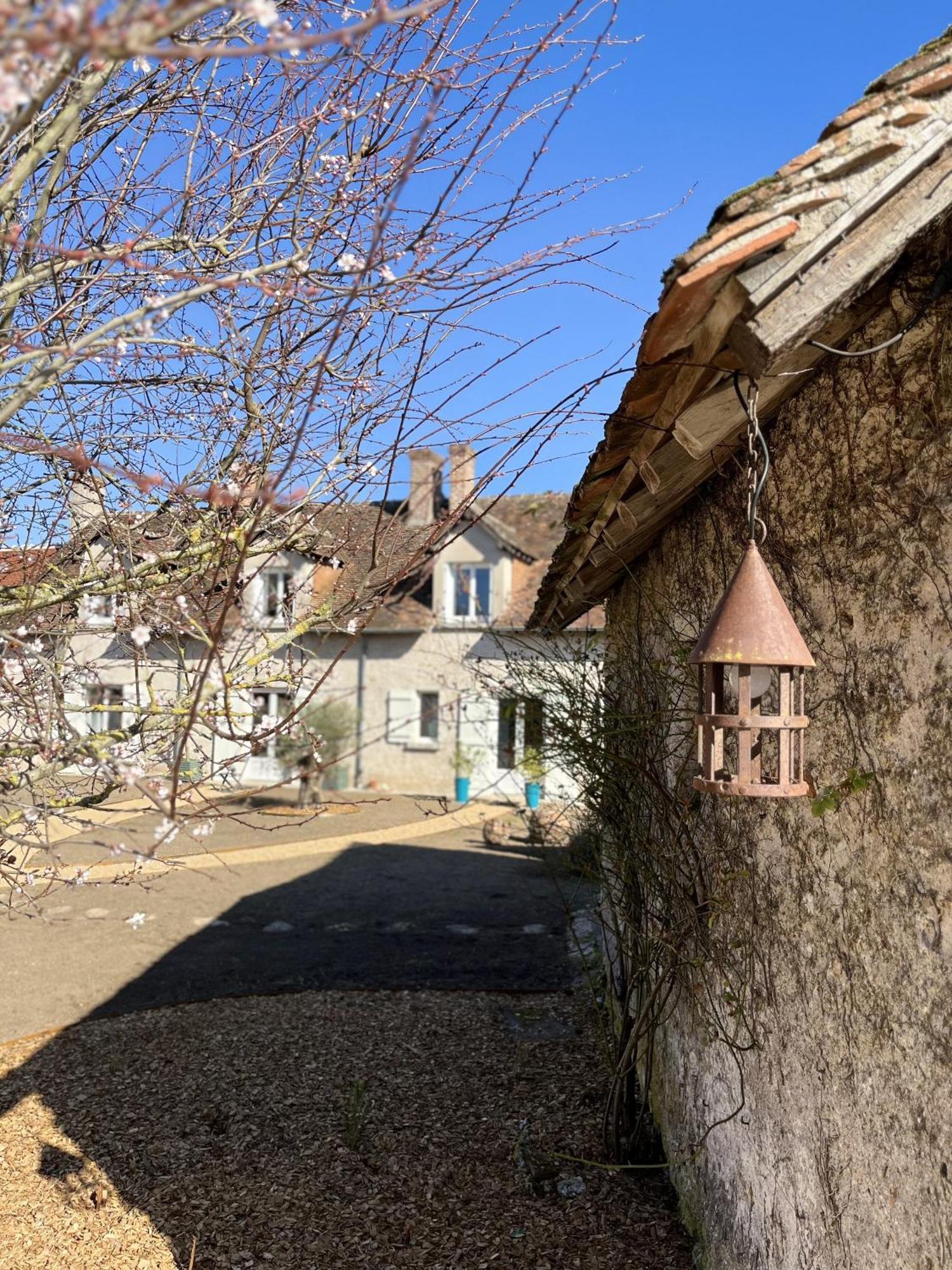 Nuits De Loire -Entre Blois Et Chambord Bed & Breakfast Vineuil  Rom bilde